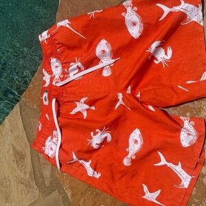 Old‎ Navy Men's orange Swim Trunks